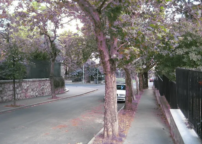 Platan Apartman