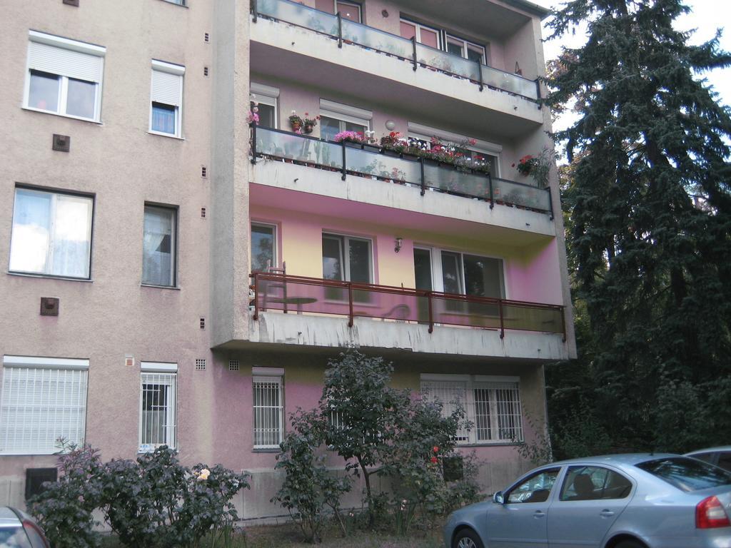 Апартаменти Platan *